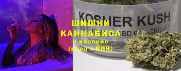 спайс Няндома