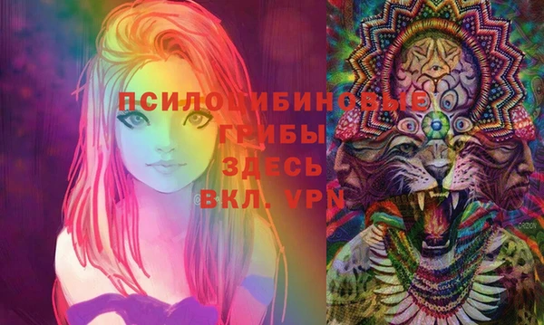 альфа пвп Алексеевка