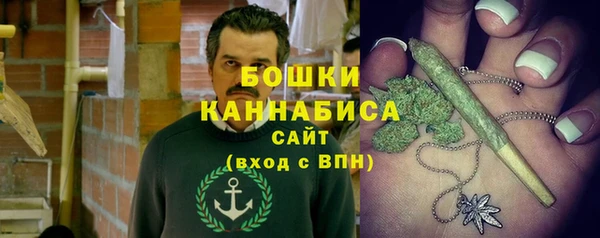 дмт Нягань